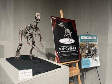 AOAO SAPPOROに投稿された画像（2023/11/25）