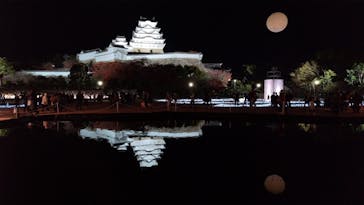 姫路城（イベント）に投稿された画像（2023/11/26）