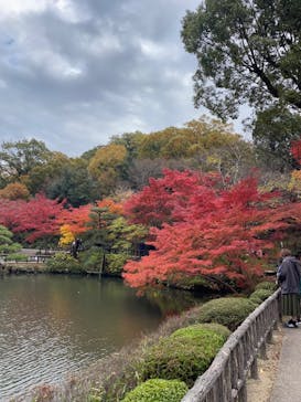 名古屋市東山動植物園に投稿された画像（2023/11/26）