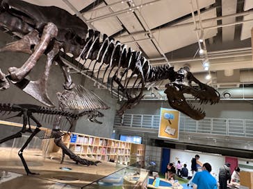 国立科学博物館に投稿された画像（2023/11/26）