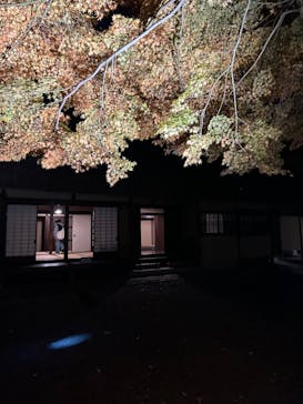 江戸東京たてもの園に投稿された画像（2023/11/26）