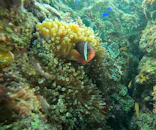 武藤潜水に投稿された画像（2023/11/26）