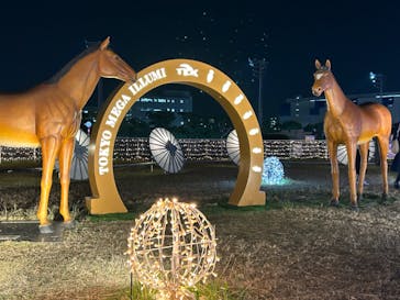 東京メガイルミに投稿された画像（2023/11/26）