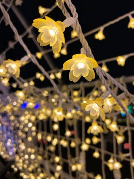 東京メガイルミに投稿された画像（2023/11/26）