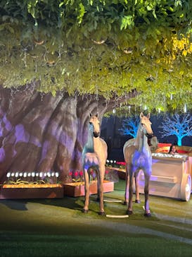 東京メガイルミに投稿された画像（2023/11/26）