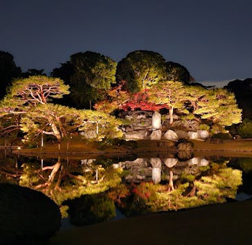 六義園に投稿された画像（2023/11/26）