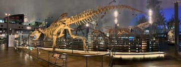 福井県立恐竜博物館に投稿された画像（2023/11/26）