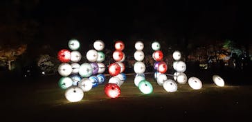 国営昭和記念公園 秋の夜散歩に投稿された画像（2023/11/26）