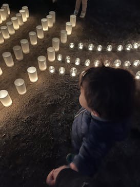 江戸東京たてもの園に投稿された画像（2023/11/26）