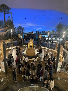 福井県立恐竜博物館に投稿された画像（2023/11/26）