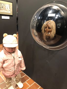 野外民族博物館 リトルワールドに投稿された画像（2023/11/26）