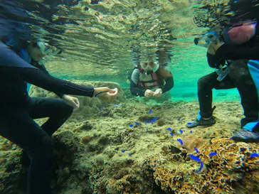 武藤潜水に投稿された画像（2023/11/26）