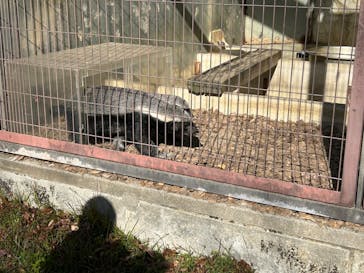 名古屋市東山動植物園に投稿された画像（2023/11/26）