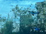 サンシャイン水族館に投稿された画像（2023/11/26）
