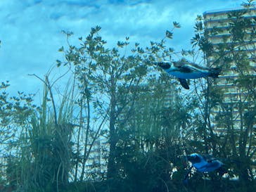 サンシャイン水族館に投稿された画像（2023/11/26）