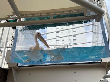 サンシャイン水族館に投稿された画像（2023/11/26）