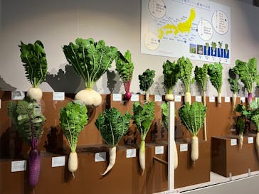 特別展「和食 ～日本の自然、人々の知恵～」に投稿された画像（2023/11/26）