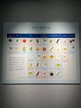 特別展「和食 ～日本の自然、人々の知恵～」に投稿された画像（2023/11/26）