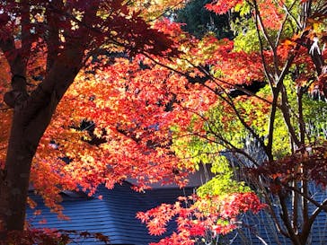 名古屋市東山動植物園に投稿された画像（2023/11/26）
