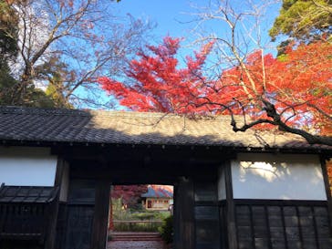 名古屋市東山動植物園に投稿された画像（2023/11/26）