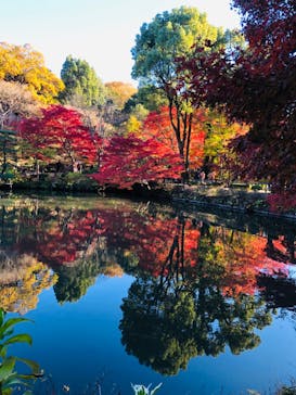 名古屋市東山動植物園に投稿された画像（2023/11/26）