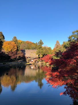名古屋市東山動植物園に投稿された画像（2023/11/26）