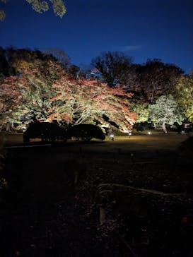 六義園に投稿された画像（2023/11/26）