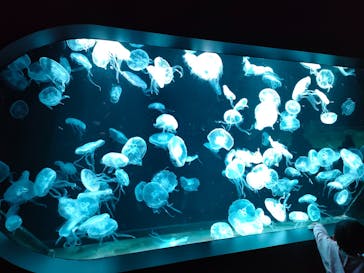 AOAO SAPPOROに投稿された画像（2023/11/26）