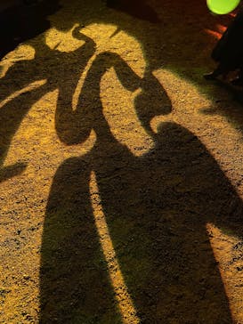 NAKED 紅葉の新宿御苑2023に投稿された画像（2023/11/26）