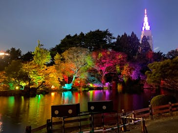 NAKED 紅葉の新宿御苑2023に投稿された画像（2023/11/26）