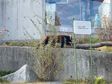 名古屋市東山動植物園に投稿された画像（2023/11/26）