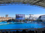 名古屋港水族館に投稿された画像（2023/11/26）