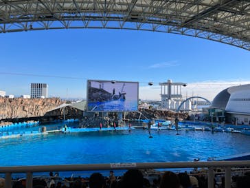 名古屋港水族館に投稿された画像（2023/11/26）