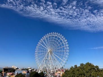 名古屋港水族館に投稿された画像（2023/11/26）