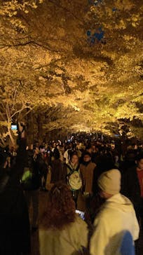 国営昭和記念公園 秋の夜散歩に投稿された画像（2023/11/26）