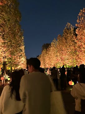 NAKED 紅葉の新宿御苑2023に投稿された画像（2023/11/24）