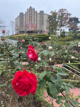 西武園ゆうえんちに投稿された画像（2023/11/26）