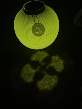 NAKED 紅葉の新宿御苑2023に投稿された画像（2023/11/26）