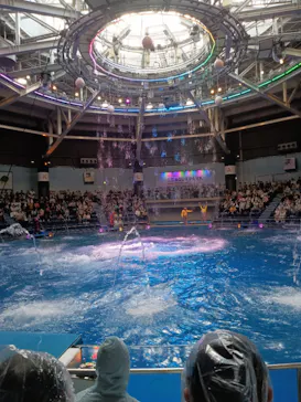 マクセル アクアパーク品川に投稿された画像（2023/11/26）