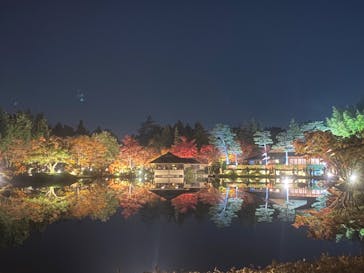 国営昭和記念公園 秋の夜散歩に投稿された画像（2023/11/26）