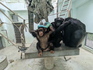 沖縄こどもの国に投稿された画像（2023/11/26）