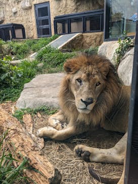 沖縄こどもの国に投稿された画像（2023/11/26）