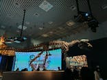 国立科学博物館に投稿された画像（2023/11/26）