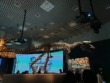 国立科学博物館に投稿された画像（2023/11/26）