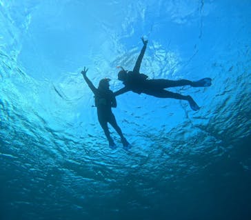 宮古島 ADVENTURE PiPi（ミヤコジマ アドベンチャー ピピ）に投稿された画像（2023/11/26）