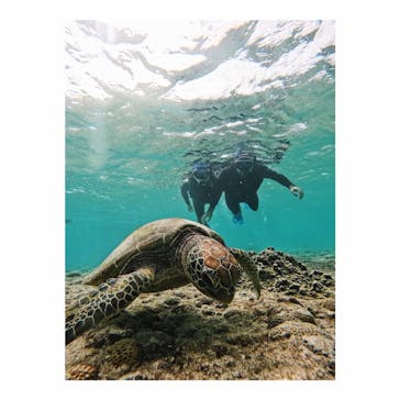 宮古島 ADVENTURE PiPi（ミヤコジマ アドベンチャー ピピ）に投稿された画像（2023/11/26）