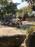 天王寺動物園に投稿された画像（2023/11/26）