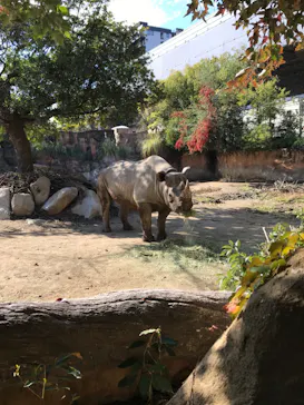 天王寺動物園に投稿された画像（2023/11/26）