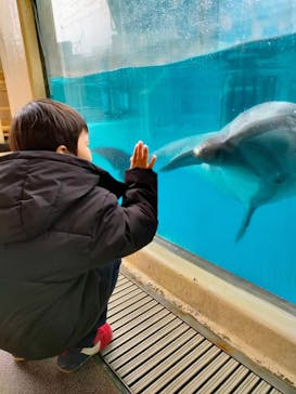 新江ノ島水族館に投稿された画像（2023/11/26）