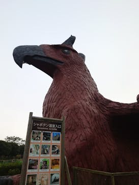 伊豆シャボテン動物公園に投稿された画像（2023/11/26）